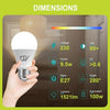 How the GY 9.5W LED Bulb Delivers Powerful 1521 Lumens with Less Electricity