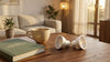 Most Energy Efficient Light Bulbs for Homes
