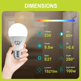 GY E27 A60 9.5W 1521 Lumen Energieeffizienzklasse C