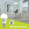 GY B22 A60 LED Bulb 9.5W 1521lm Base